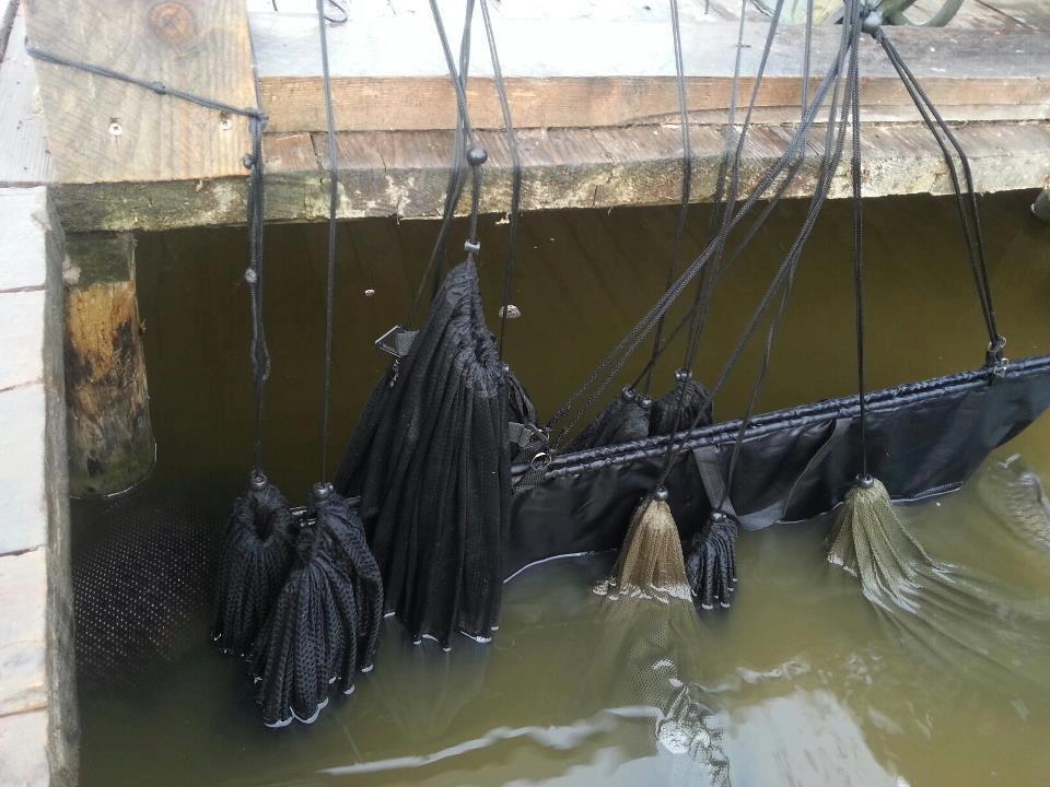 Atentie,imagini socante +18 - 9234814597847307715691740903287n.jpg